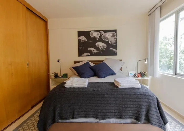 Rio Niagara Apartment Mexico City